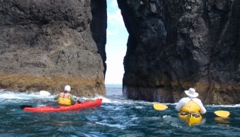 Bay of Islands Sea Kayaking