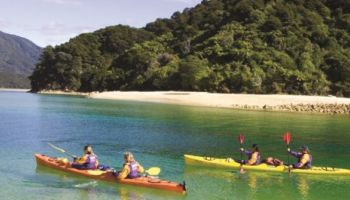 Kayaking Tours