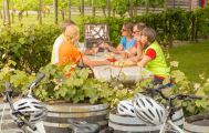 1 Day Moutere Winery and Artisans Bike Tour 