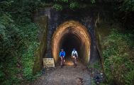 1 Day Tunnel to Town Via Mapua Self-Guided Cycle
