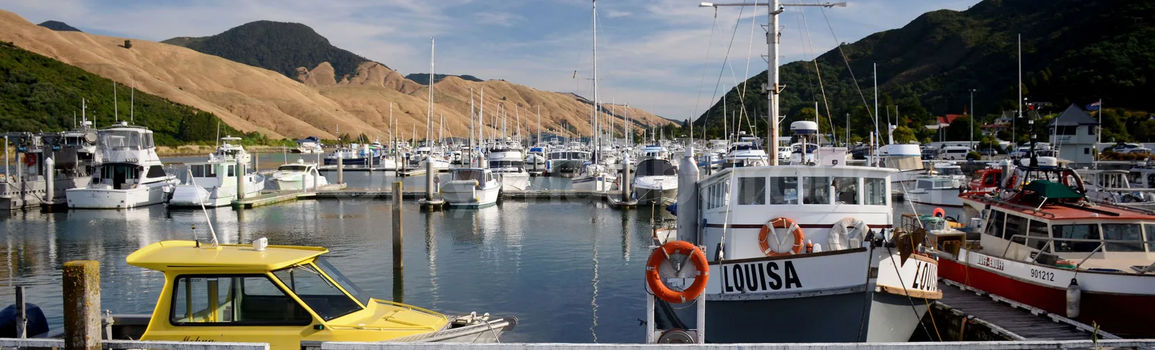 Sailboats and fishing vessels docked at Havelock Marina with surrounding hills, a hub for sailing and watersports in Marlborough, New Zealand
