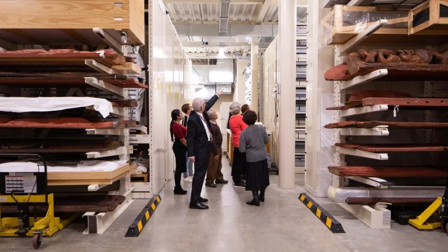 Guided group exploring museum storage area on Auckland coastal luxury tour