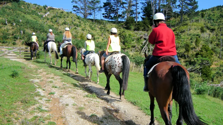 Horse trekking group heading uphill on a countryside trail near Brick Bay