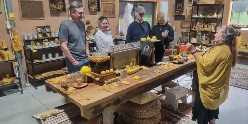Private honey tasting and bee education experience near Auckland