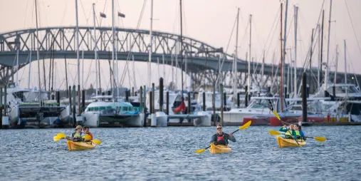 Paddlers kayaking on Waitemata Harbour with Auckland Harbour Bridge and Westhaven Marina in the background