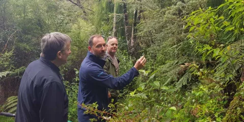 Local guide leading a nature walk through lush rainforest in the Waitākere Ranges