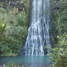 Tall Karekare waterfall surrounded by native bush in West Auckland