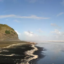 Sweeping black sand beach and rock formation at Bethells Beach, West Auckland