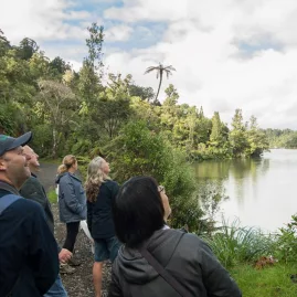Group walking along forested track beside Upper Nihotupu Dam in the Waitākere Ranges