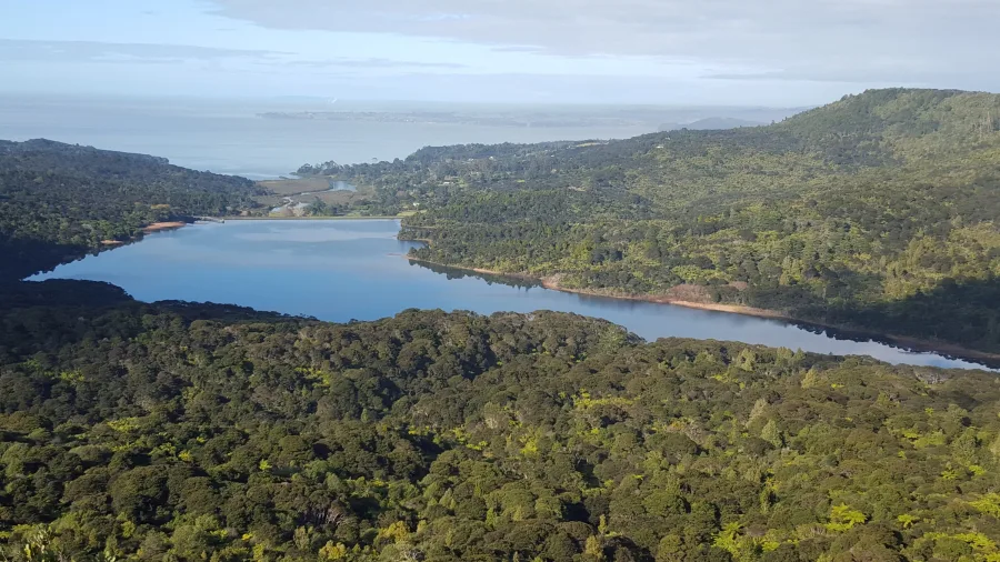 Elevated view over native rainforest and lake in West Auckland with ocean in distance