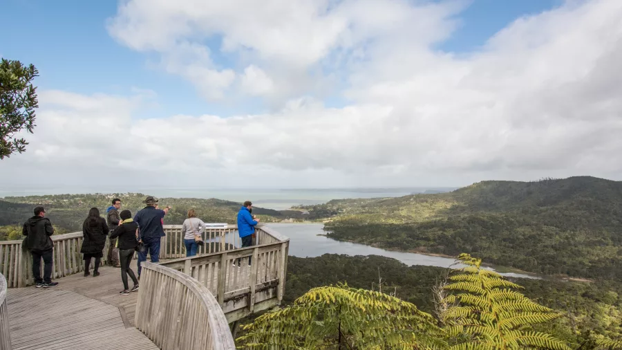 Group enjoying panoramic forest and lake views from lookout platform in Waitākere Ranges