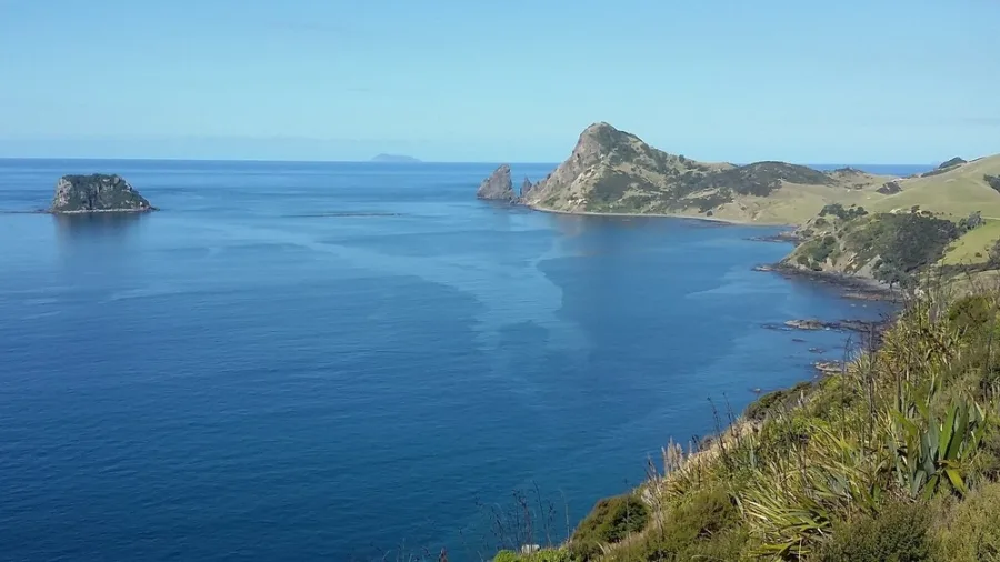 Scenic view of a secluded beach on the Coromandel Peninsula, New Zealand