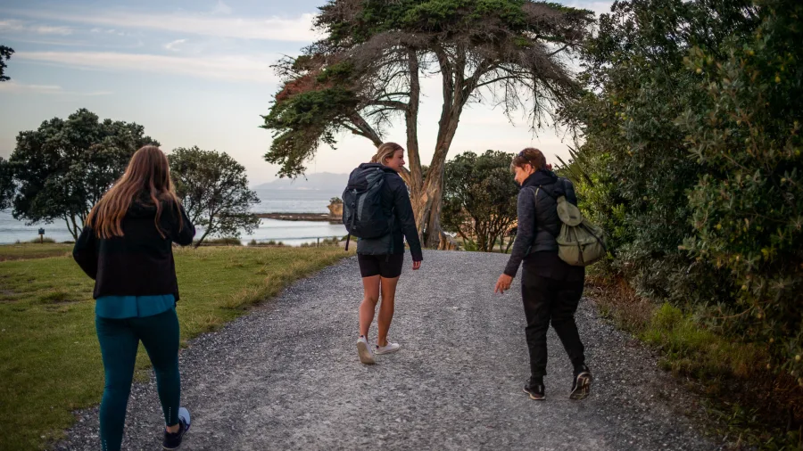Visitors walking along a coastal gravel trail beneath native trees during the Matakana Art & Kiwi Classic Experience tour near Auckland, New Zealand