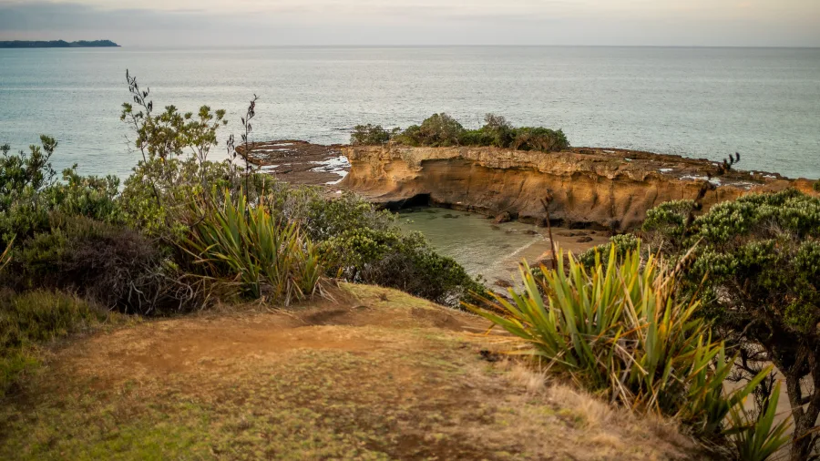 Scenic coastal viewpoint overlooking rocky cliffs, native bush, and calm ocean waters at sunset near Matakana, North Island, New Zealand.