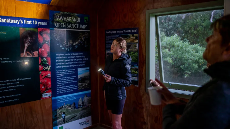 Guests exploring educational displays about New Zealand native wildlife and conservation at the Tāwharanui Open Sanctuary visitor centre, Auckland.