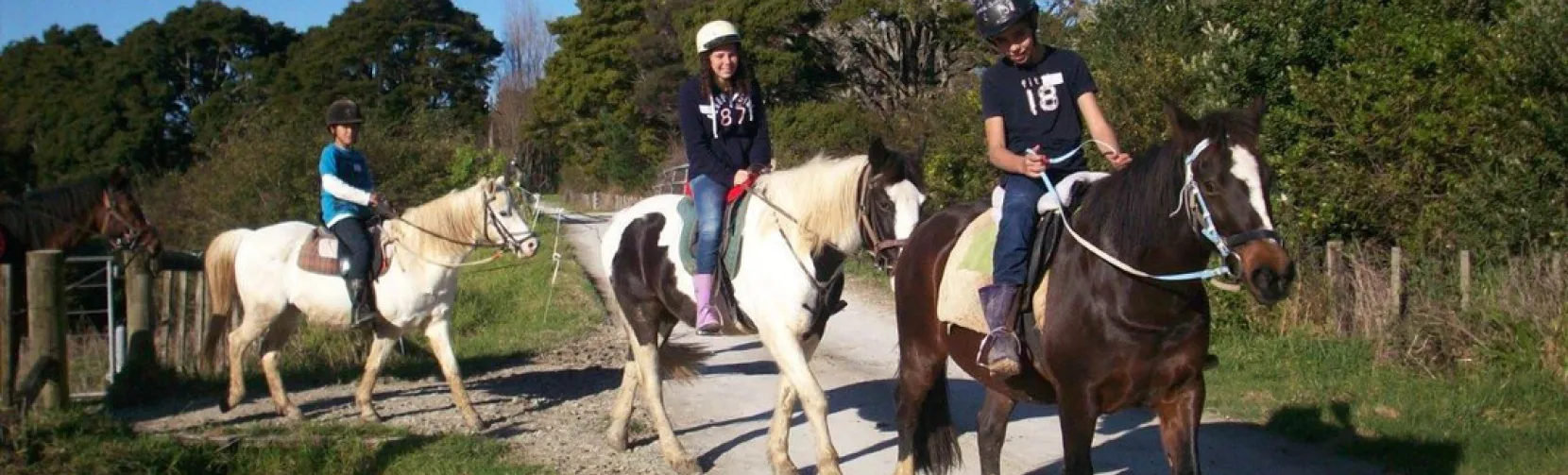 Team horse riding on a scenic farm trail in Matakana, New Zealand, surrounded by green fields and trees