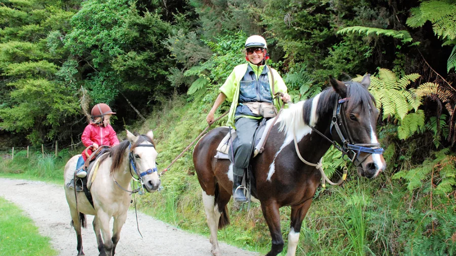 Adult and child horse riding together along a forested track on a horseback tour in Matakana, New Zealand