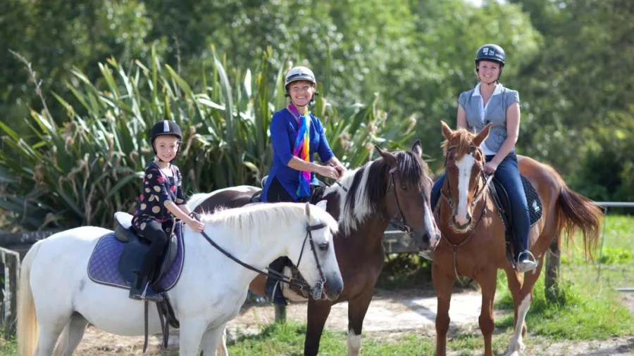 Family horse riding together in the scenic rural countryside of Matakana near Auckland, New Zealand
