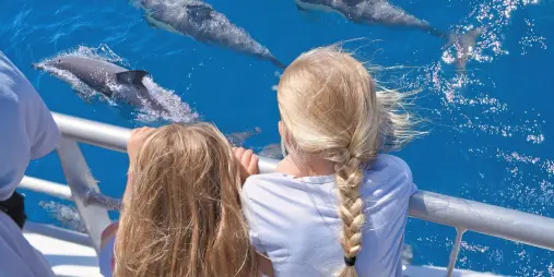 Children watching dolphins on Tīkapa Moana cruise Auckland