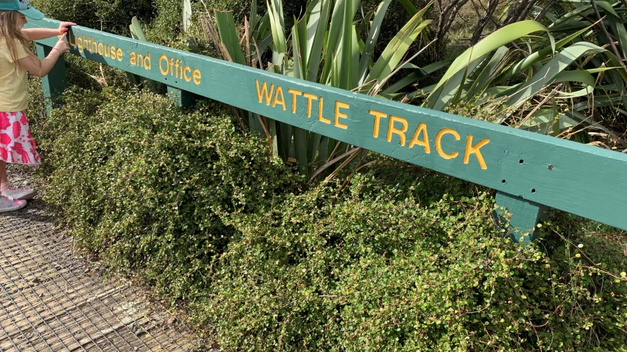 A green wooden sign reading 'Wattle Track' surrounded by lush native plants, marking the entrance to a scenic walking trail.