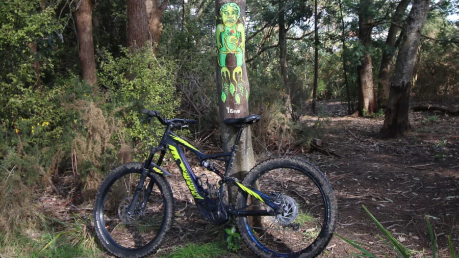 E-bike parked next to a Māori carving totem in a forested trail section