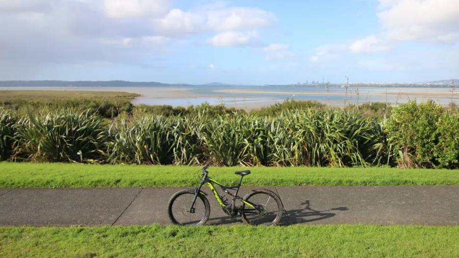 E-bike parked on a path overlooking wetlands and harbour views