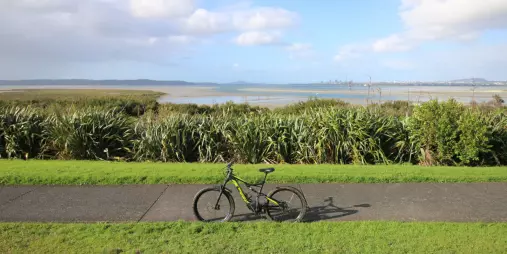 E-bike parked on a path overlooking wetlands and harbour views