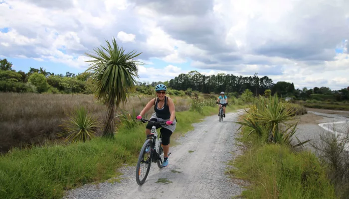 Two women cycling along a gravel trail lined with cabbage trees and wetland plants