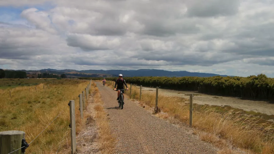 Cyclist riding on a straight gravel path between fields with mountains in the distance