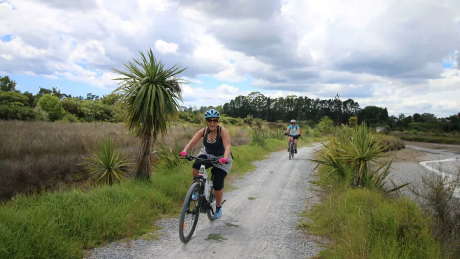 Two women cycling along a gravel trail lined with cabbage trees and wetland plants