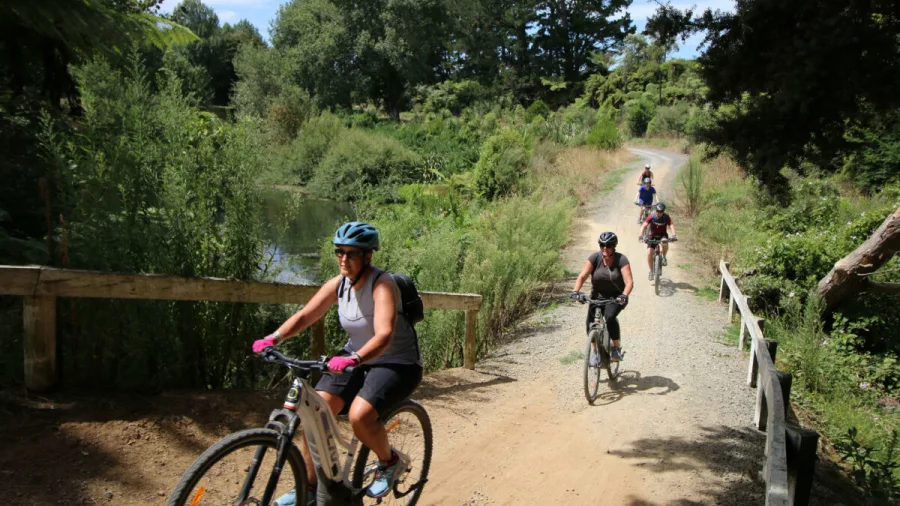Group of cyclists riding up from a small bridge surrounded by native vegetation