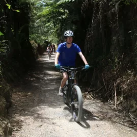 Cyclist riding through a forest cutting on a gravel track in Karangahake Gorge