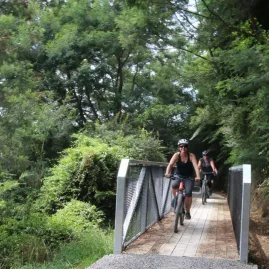 Cyclists riding across a narrow metal bridge through bush-clad surroundings