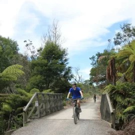 Cyclist crossing a gravel bridge surrounded by native bush and tree ferns in Karangahake Gorge