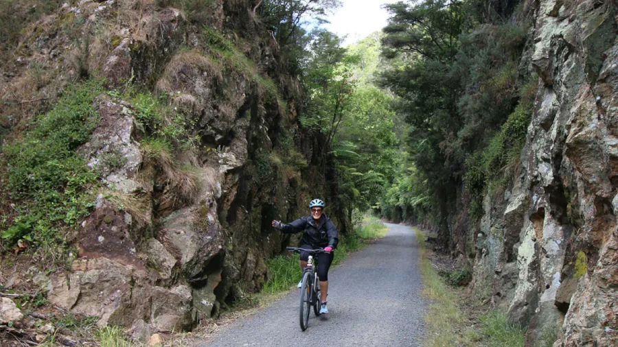 Woman cycling through a rocky cutting surrounded by native bush in Karangahake Gorge