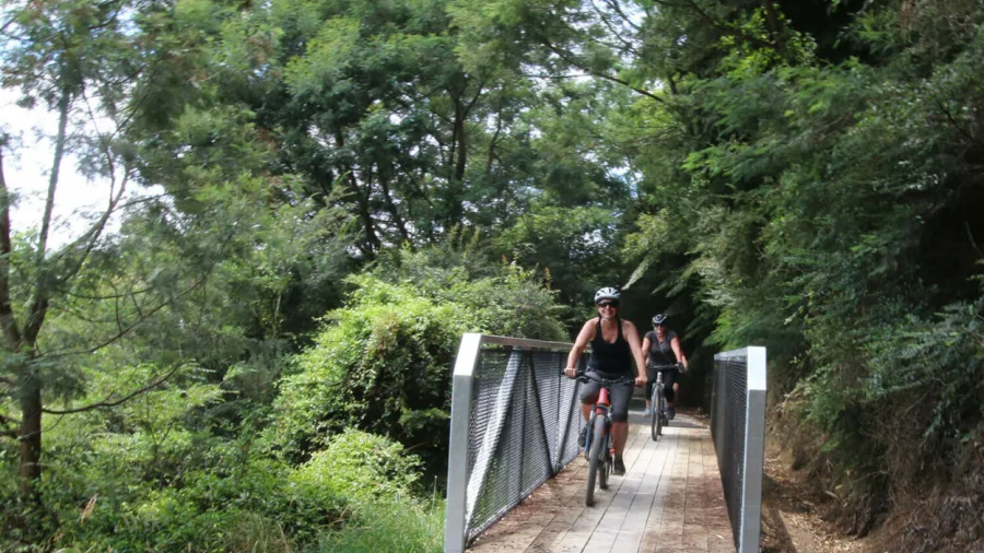 Cyclists riding across a narrow metal bridge through bush-clad surroundings