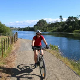 Cyclist riding along a river trail bordered by a wooden fence on the Waikato River Trails