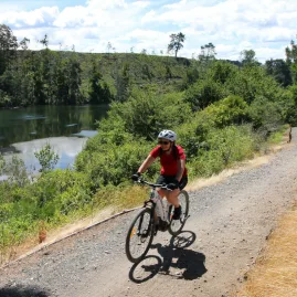 Cyclists pedalling through bush-lined gravel paths along the Waikato River Trails
