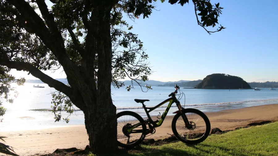 Mountain bike parked under a tree beside the beach in Ōpua, Bay of Islands