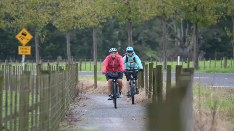Two cyclists riding along a fenced path through Northland farmland on the Twin Coast Cycle Trail