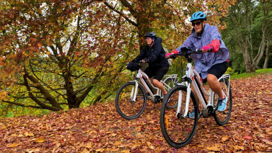 Two e-bike riders cycling through golden autumn leaves on the Twin Coast Cycle Trail
