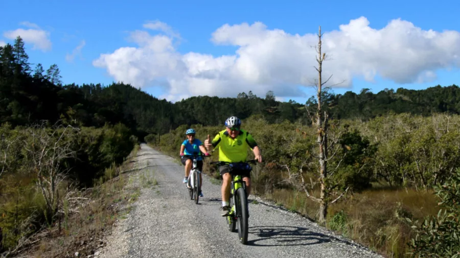 Two cyclists riding through native bush on a gravel section of the Twin Coast Cycle Trail
