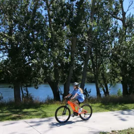 Young cyclist biking along shaded riverside path with tall trees in Waikato