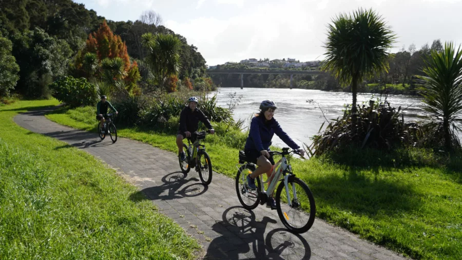 Cyclists riding near the Waikato River with palm trees and clear skies