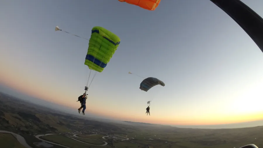 Parachutes gliding down during a tandem skydive at sunset over rural Auckland