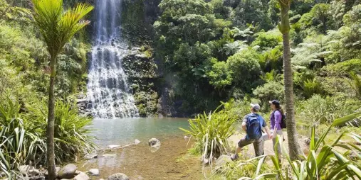 Karekare Falls on the Auckland Māori Luxury Tour in the Waitākere Ranges
