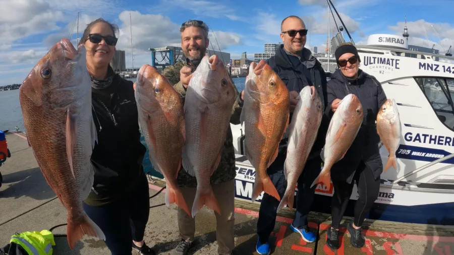 Group of anglers holding large snapper catch at Auckland marina