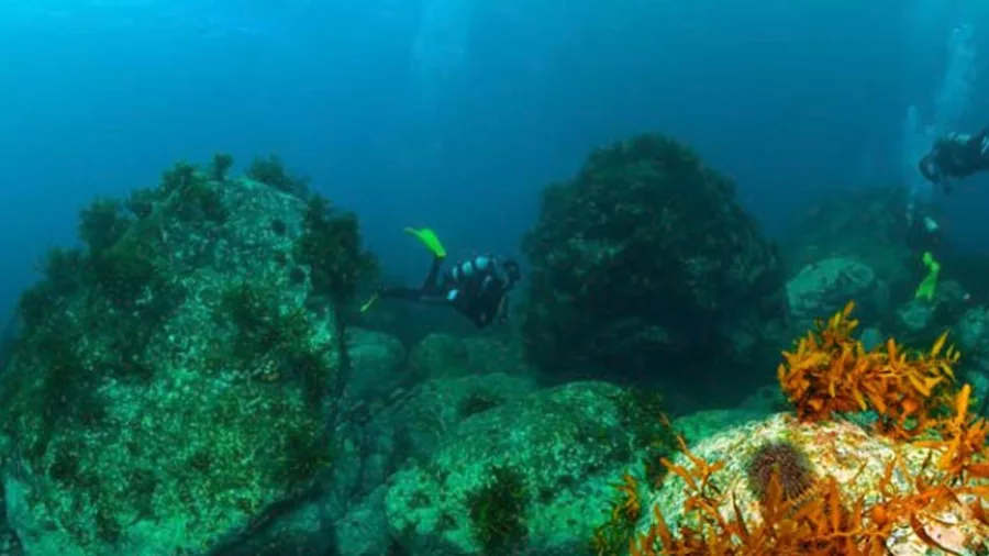 Goat Island Diving lg