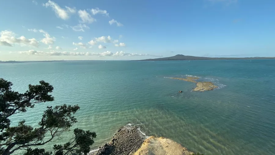 Panoramic coastal view from Achilles Point with Rangitoto Island in the distance
