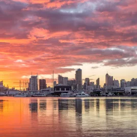 Sunset over Auckland city with glowing skyline, Sky Tower, and harbour in golden light